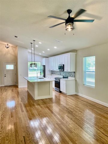 509 PINE LANE, Eustis, FL 32726