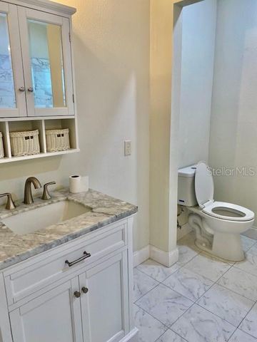 509 PINE LANE, Eustis, FL 32726