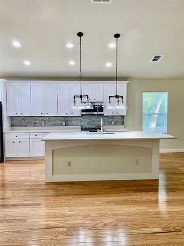 509 PINE LANE, Eustis, FL 32726