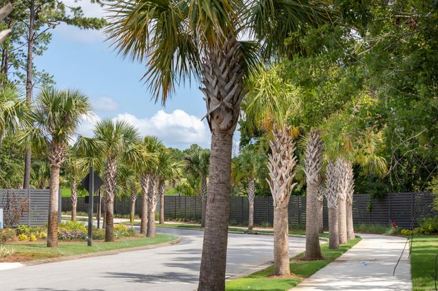 2324 Minifarm Way 0510, Mount Pleasant, SC 29466