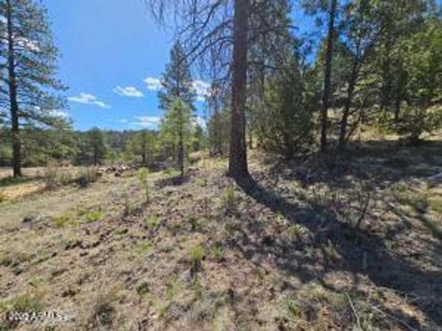 3326 Black Canyon Road -, Heber, AZ 85928