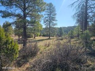 3326 Black Canyon Road -, Heber, AZ 85928