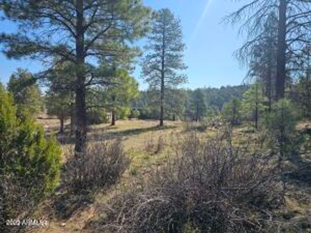 3326 Black Canyon Road -, Heber, AZ 85928