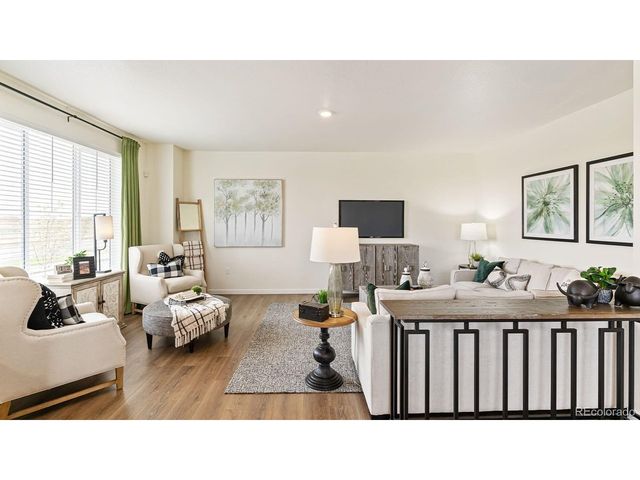 368 N Amory St, Watkins, CO 80137