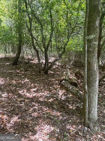 LOT 13 Woodbrier, Sautee Nacoochee, GA 30571