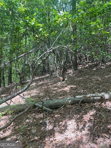 LOT 13 Woodbrier, Sautee Nacoochee, GA 30571
