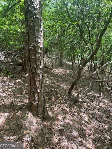 LOT 13 Woodbrier, Sautee Nacoochee, GA 30571