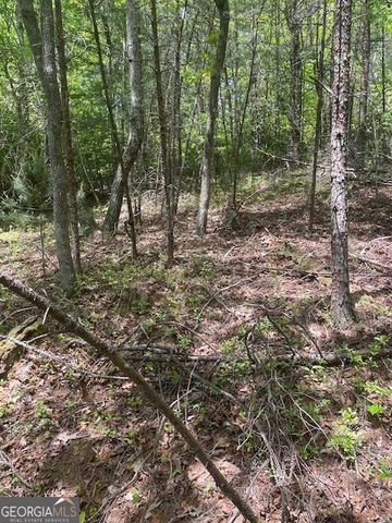 LOT 13 Woodbrier, Sautee Nacoochee, GA 30571