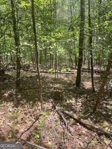 LOT 13 Woodbrier, Sautee Nacoochee, GA 30571