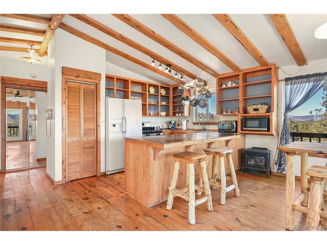 66 Shawnee Pl, Florissant, CO 80816