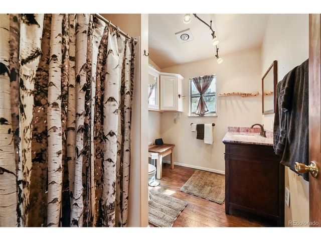 66 Shawnee Pl, Florissant, CO 80816