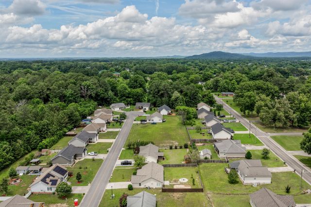 44 Buckeye Lane, Chatsworth, GA 30705