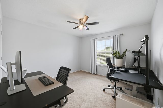1026 Windmill Palm, San Antonio, TX 78216