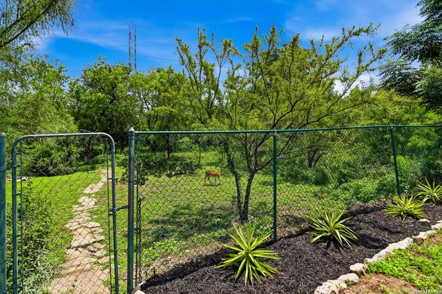 1026 Windmill Palm, San Antonio, TX 78216