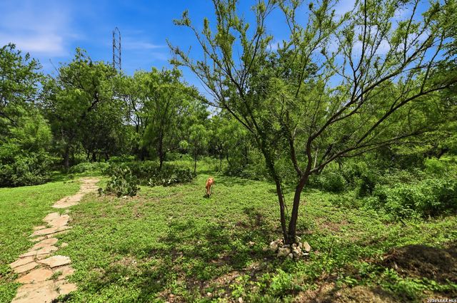 1026 Windmill Palm, San Antonio, TX 78216