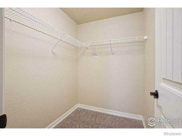 541 Mount Rainier Street, Berthoud, CO 80513