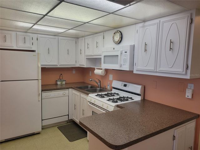 9950 62ND TERRACE N 417, St Petersburg, FL 33708