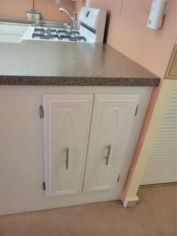 9950 62ND TERRACE N 417, St Petersburg, FL 33708