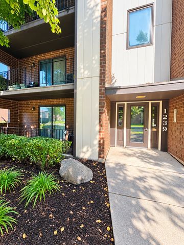 1239 Chalet Road 101, Naperville, IL 60563