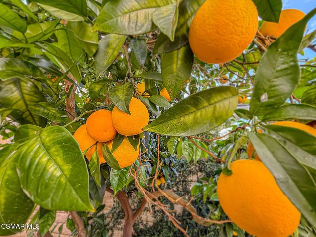 260 Sycamore Ridge Street, Simi Valley, CA 93065