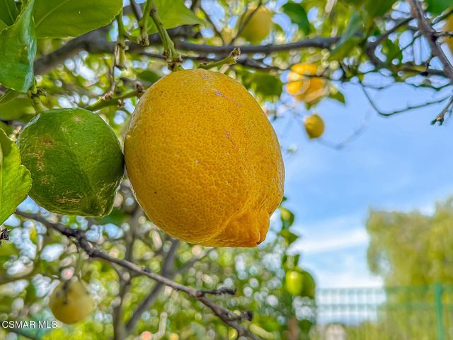 260 Sycamore Ridge Street, Simi Valley, CA 93065