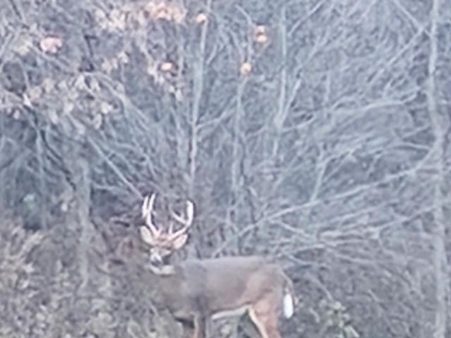 E10880 County Road P, Westby, WI 54667