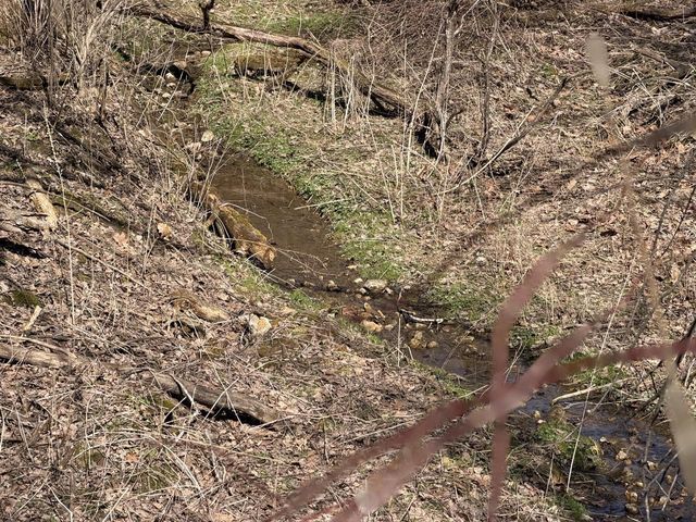 E10880 County Road P, Westby, WI 54667