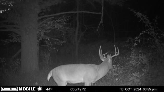 E10880 County Road P, Westby, WI 54667