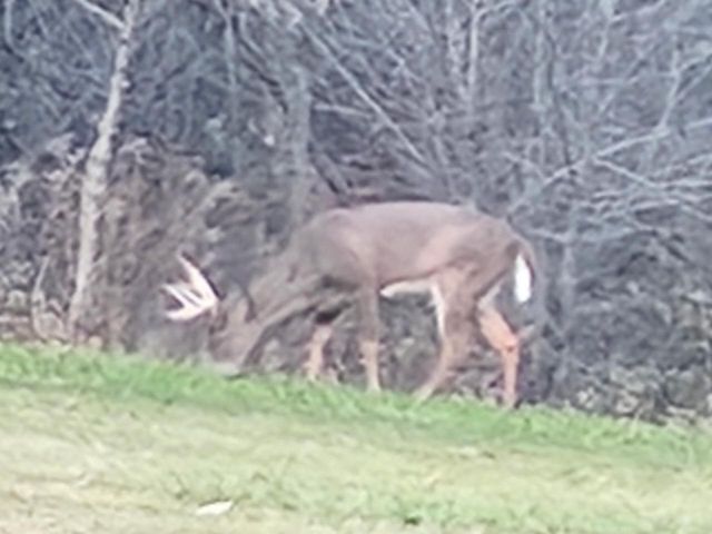 E10880 County Road P, Westby, WI 54667