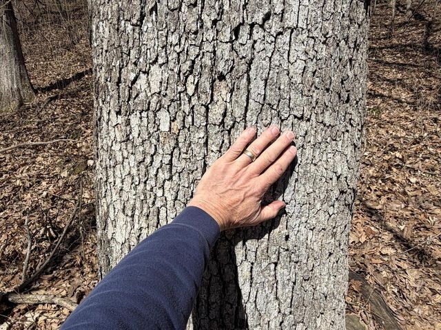 E10880 County Road P, Westby, WI 54667