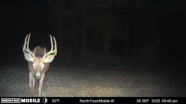 E10880 County Road P, Westby, WI 54667