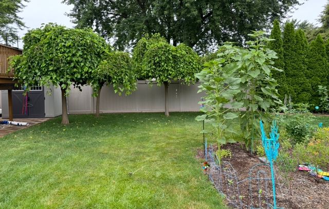 856 Quail Drive, Bradley, IL 60915