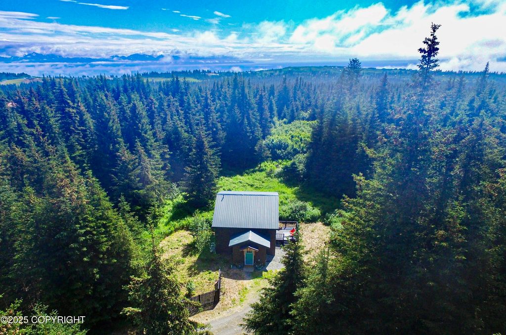 41237 Heather Street, Homer, AK 99603
