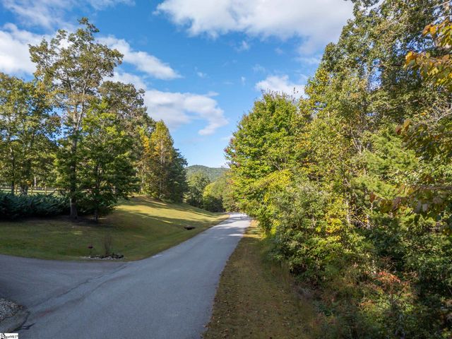 100 Pardo Road, Landrum, SC 29356