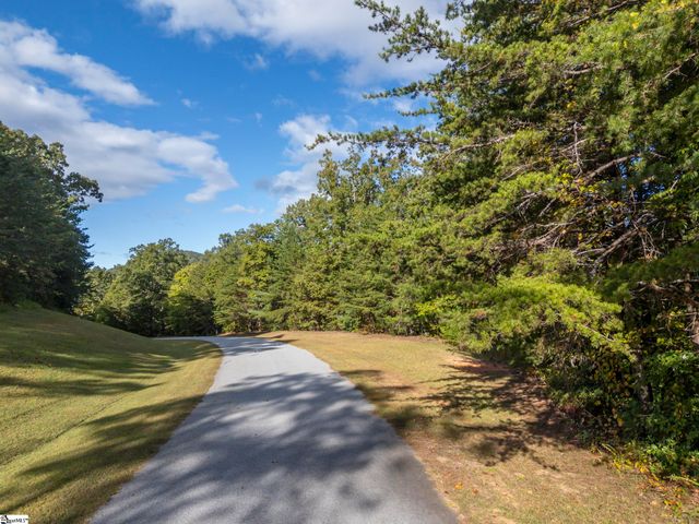 100 Pardo Road, Landrum, SC 29356
