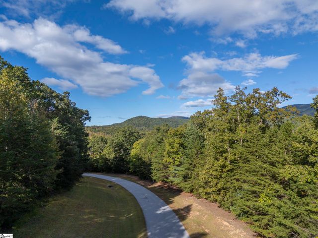 100 Pardo Road, Landrum, SC 29356