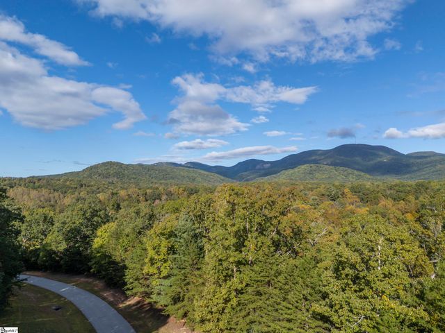 100 Pardo Road, Landrum, SC 29356