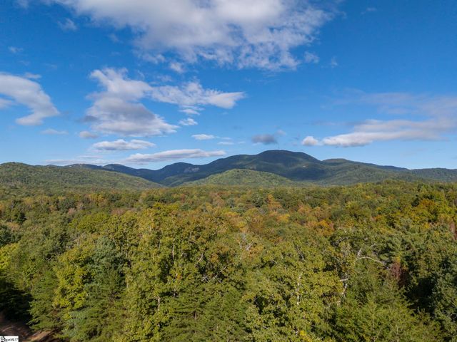 100 Pardo Road, Landrum, SC 29356