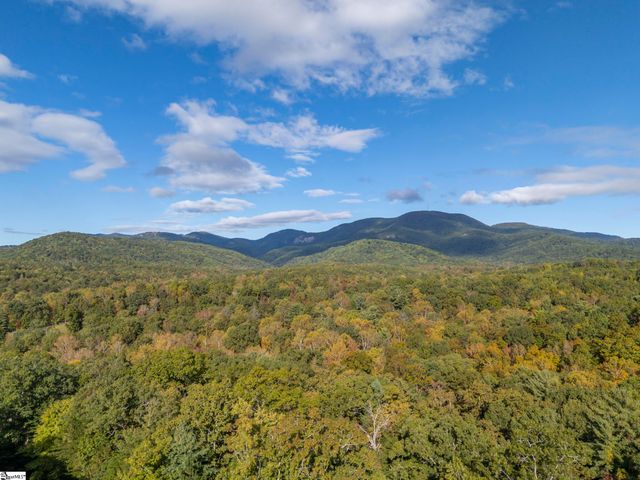 100 Pardo Road, Landrum, SC 29356