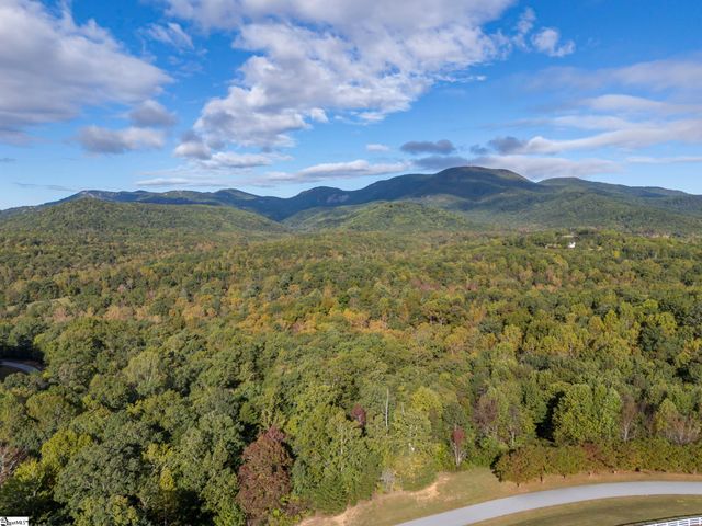 100 Pardo Road, Landrum, SC 29356