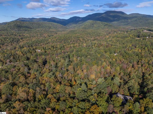 100 Pardo Road, Landrum, SC 29356