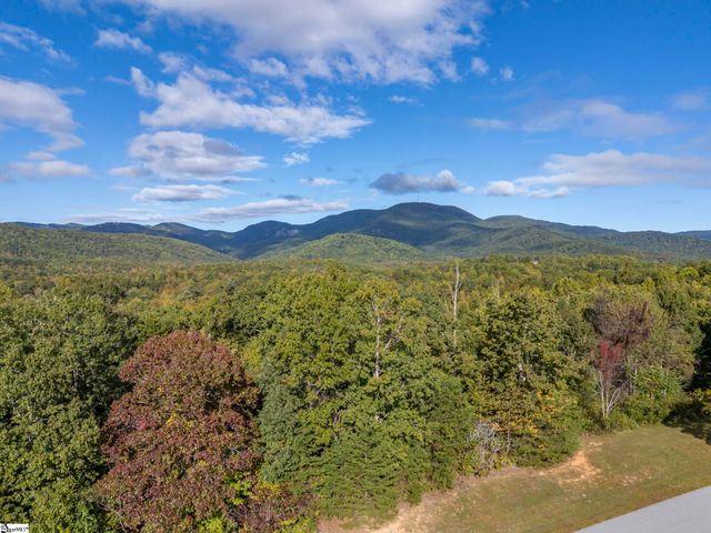 100 Pardo Road, Landrum, SC 29356