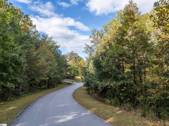 100 Pardo Road, Landrum, SC 29356