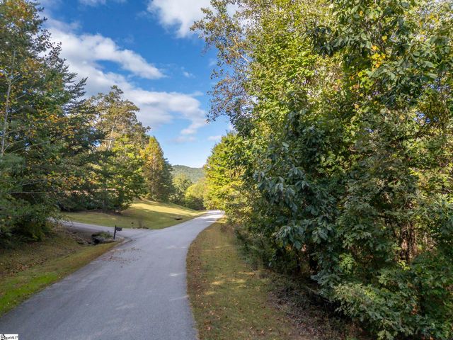 100 Pardo Road, Landrum, SC 29356