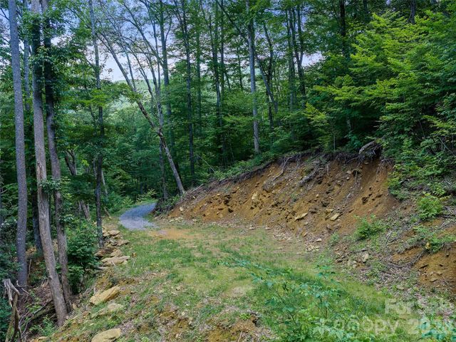 000 Ogles Gap Road, Burnsville, NC 28714