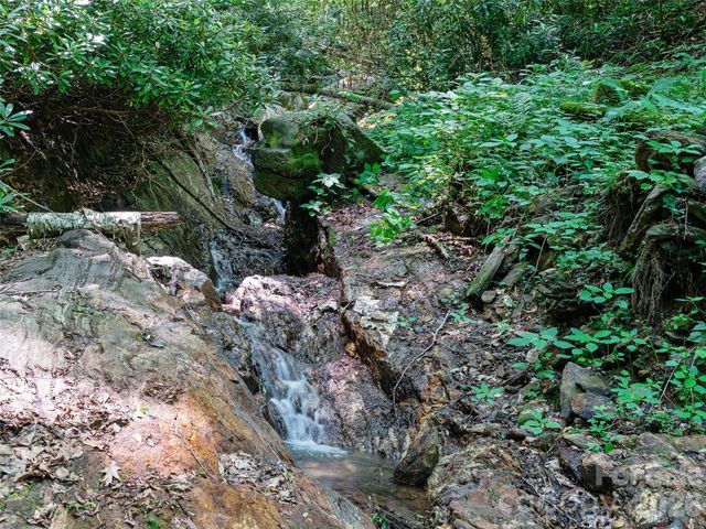 000 Ogles Gap Road, Burnsville, NC 28714