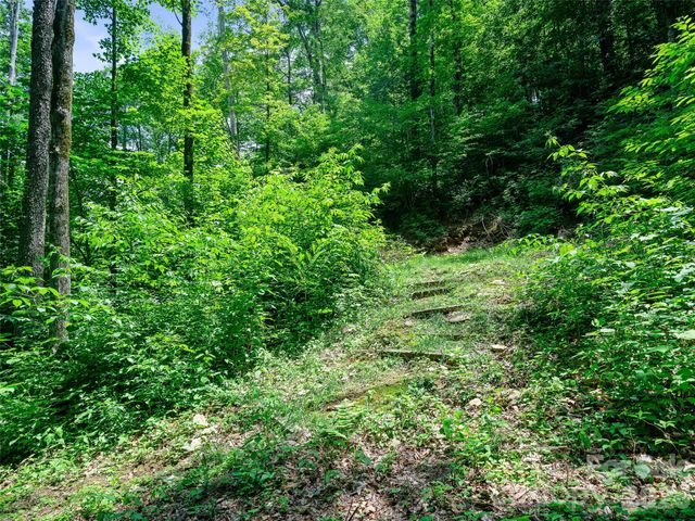 000 Ogles Gap Road, Burnsville, NC 28714