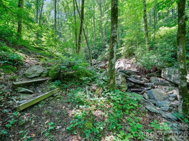 000 Ogles Gap Road, Burnsville, NC 28714