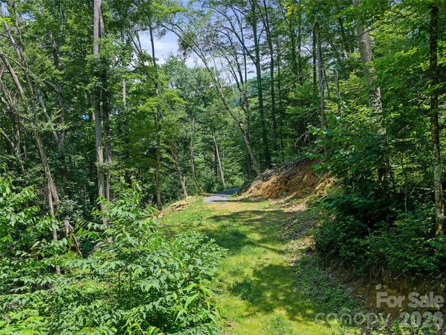 000 Ogles Gap Road, Burnsville, NC 28714