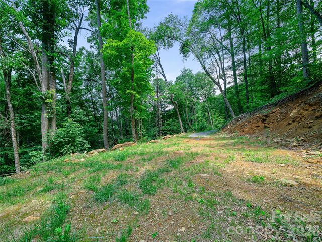 000 Ogles Gap Road, Burnsville, NC 28714